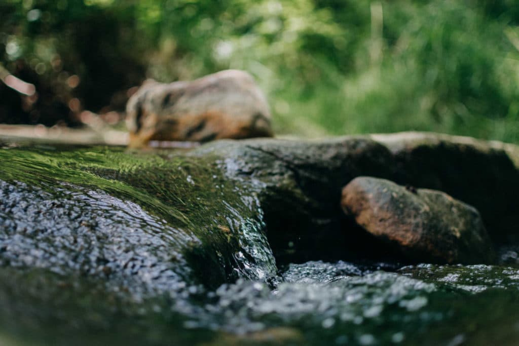 clean water
