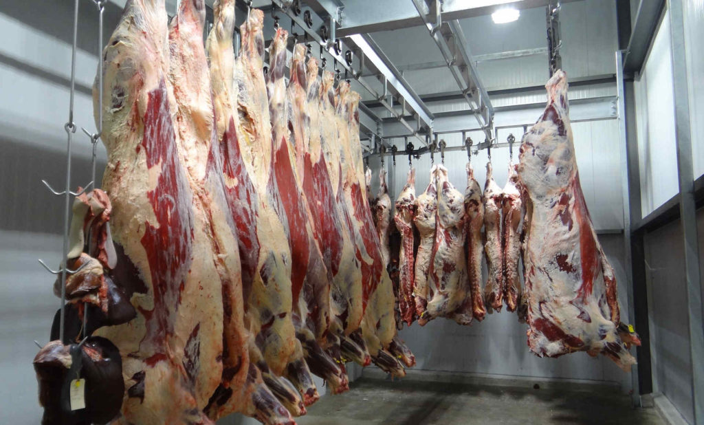 meat