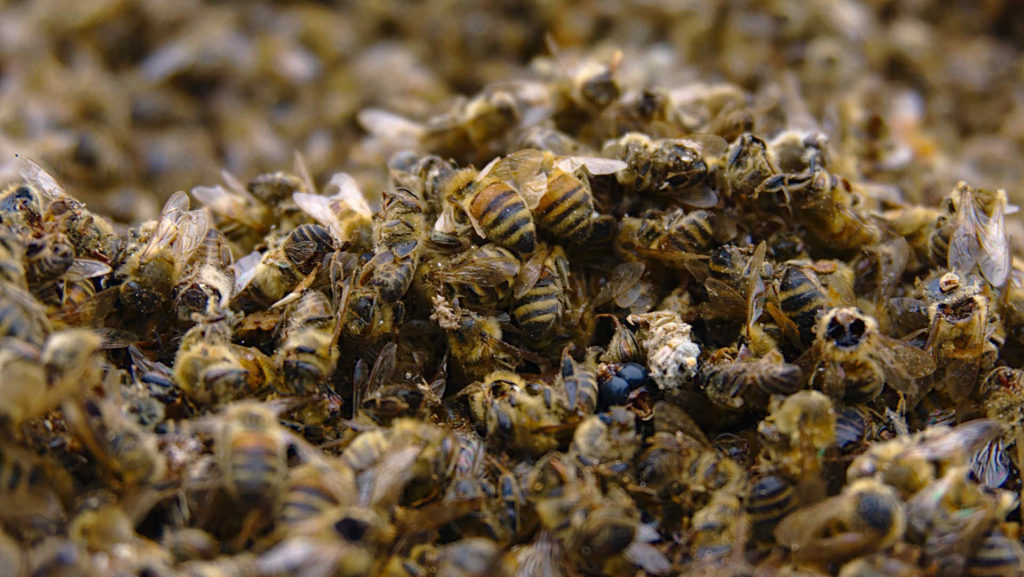 pesticide