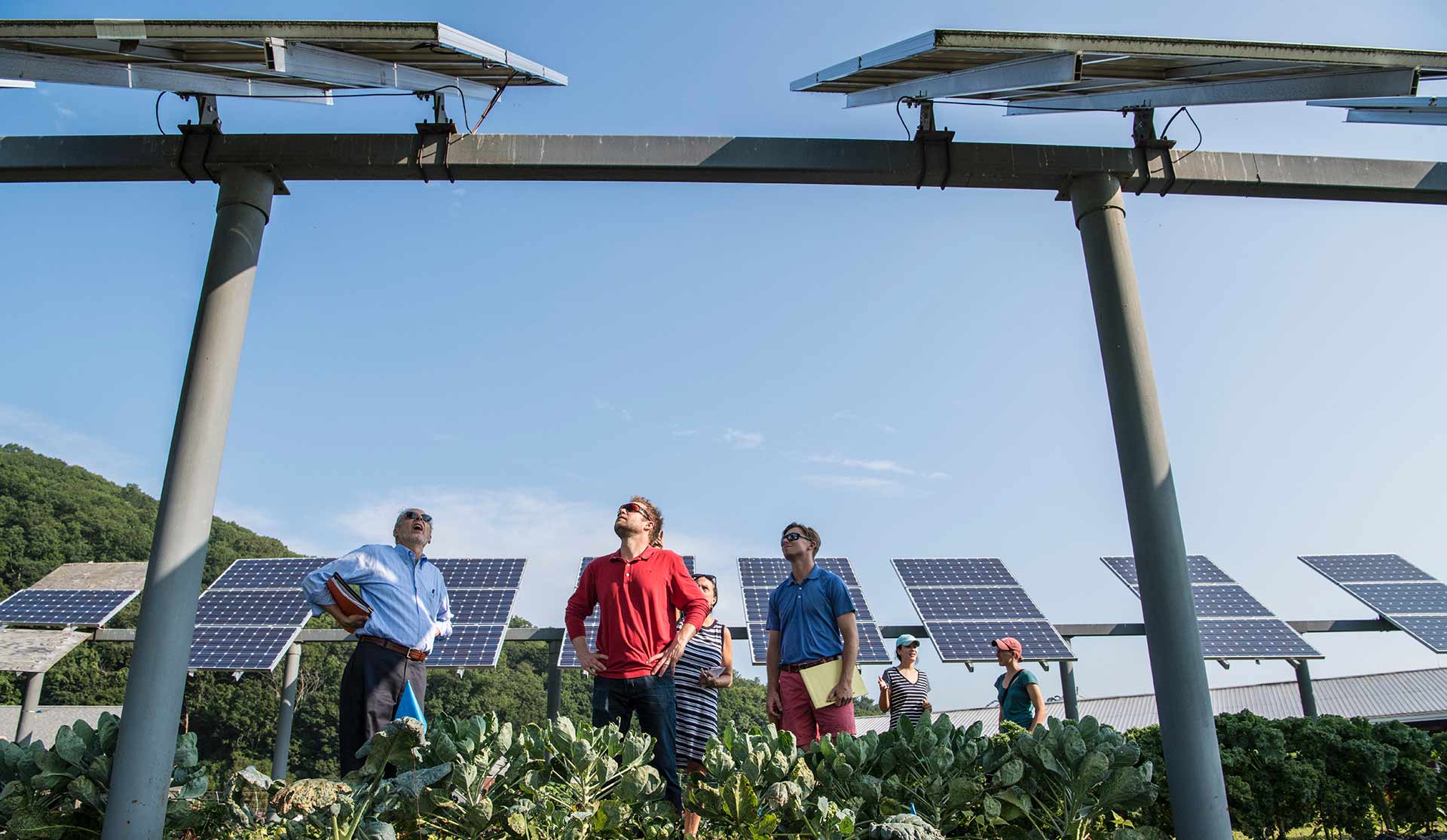 SunBlockers Threaten Southeastern Solar Energy