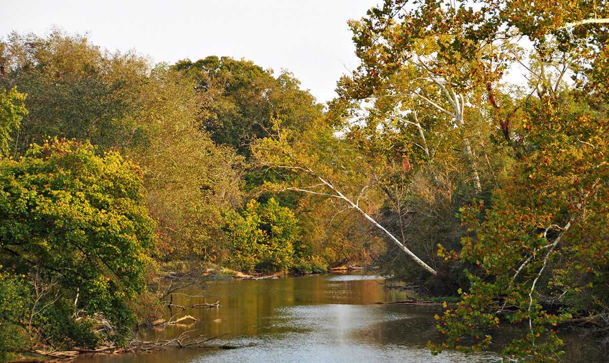 Historic Turnaround for the Neuse River