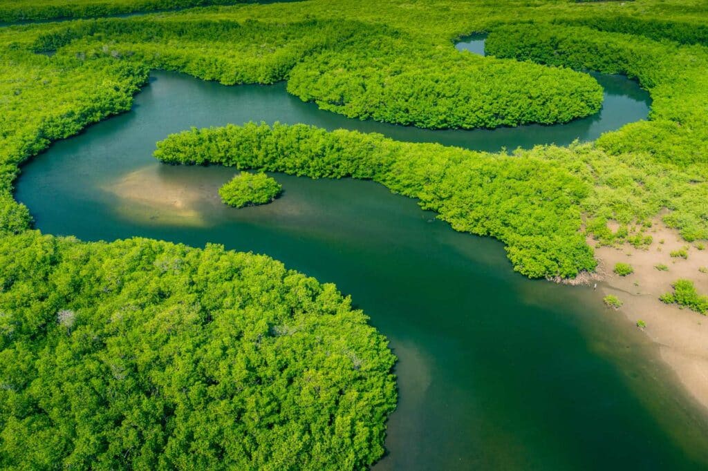 Clean Water and Wetlands