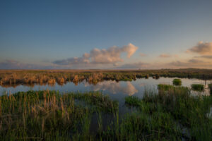 Sunsets over a healthy marsh